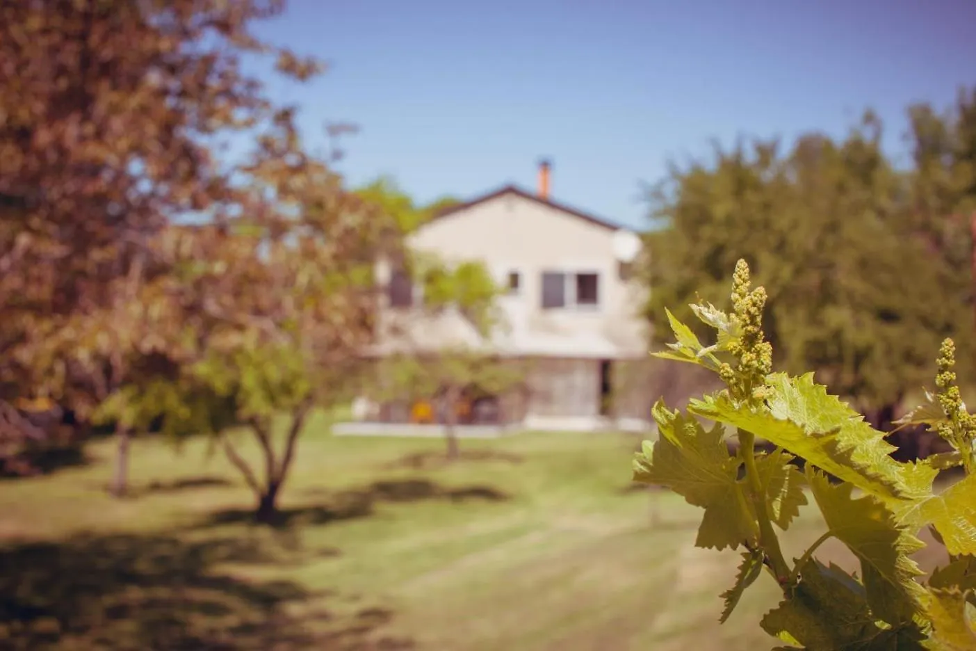 La ToucheMaison De Famille En Pleine Nature别墅 La Touche